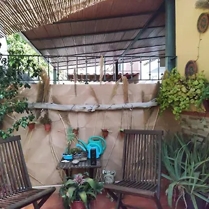Cool Garden And Habitación en casa particular